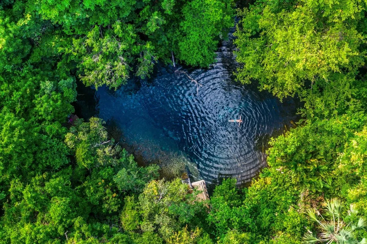 Ojos Indígenas Ecological Reserve
