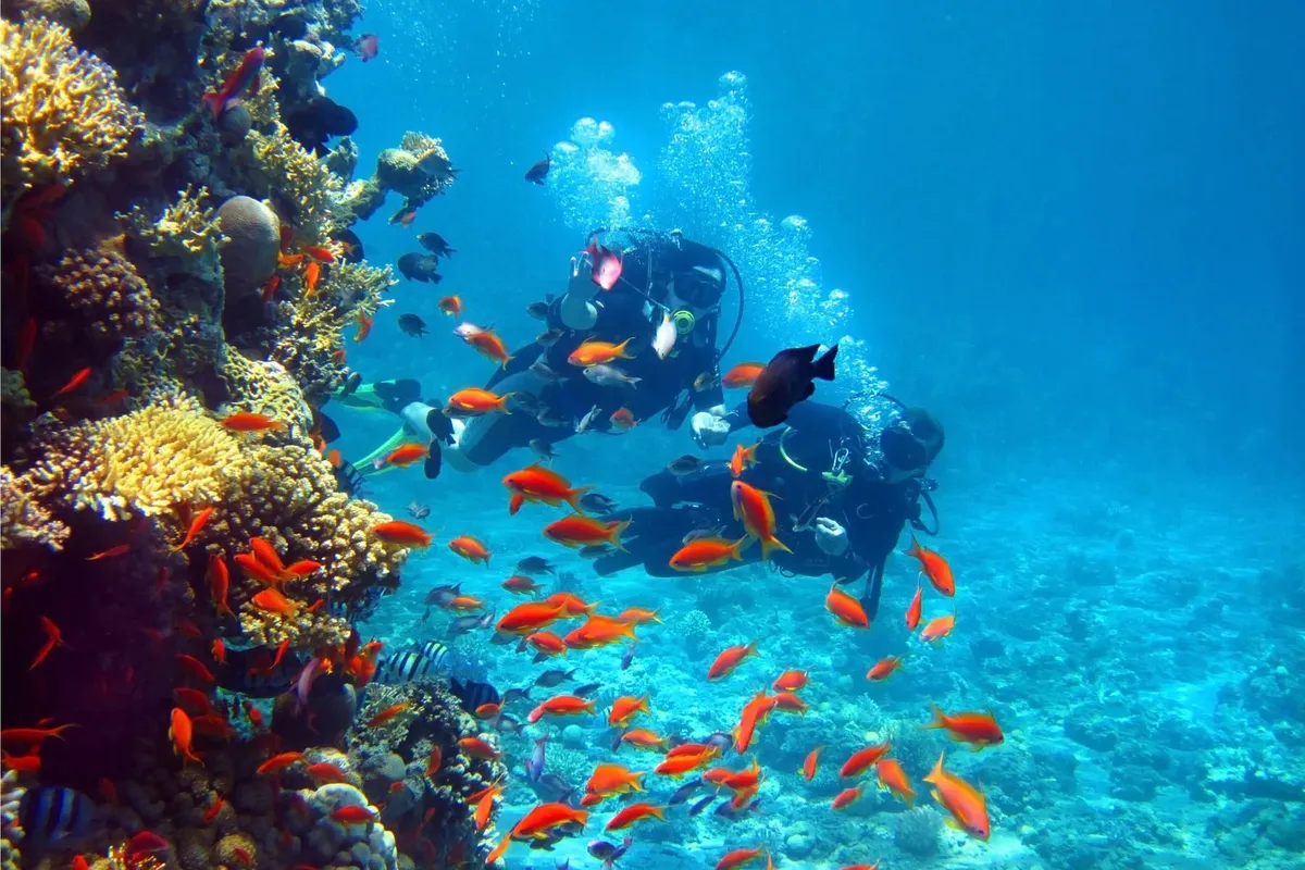 Deep Diving in Punta Cana