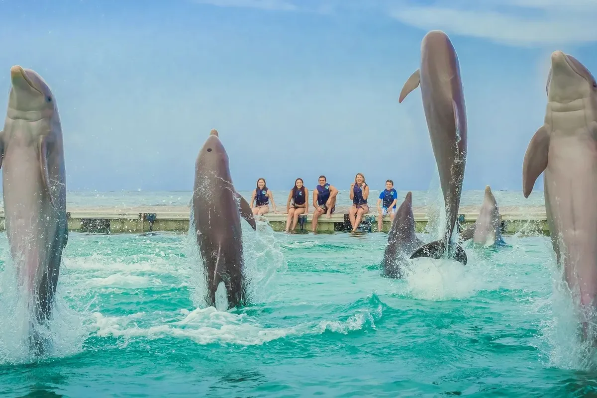 Dolphin Island Punta Cana