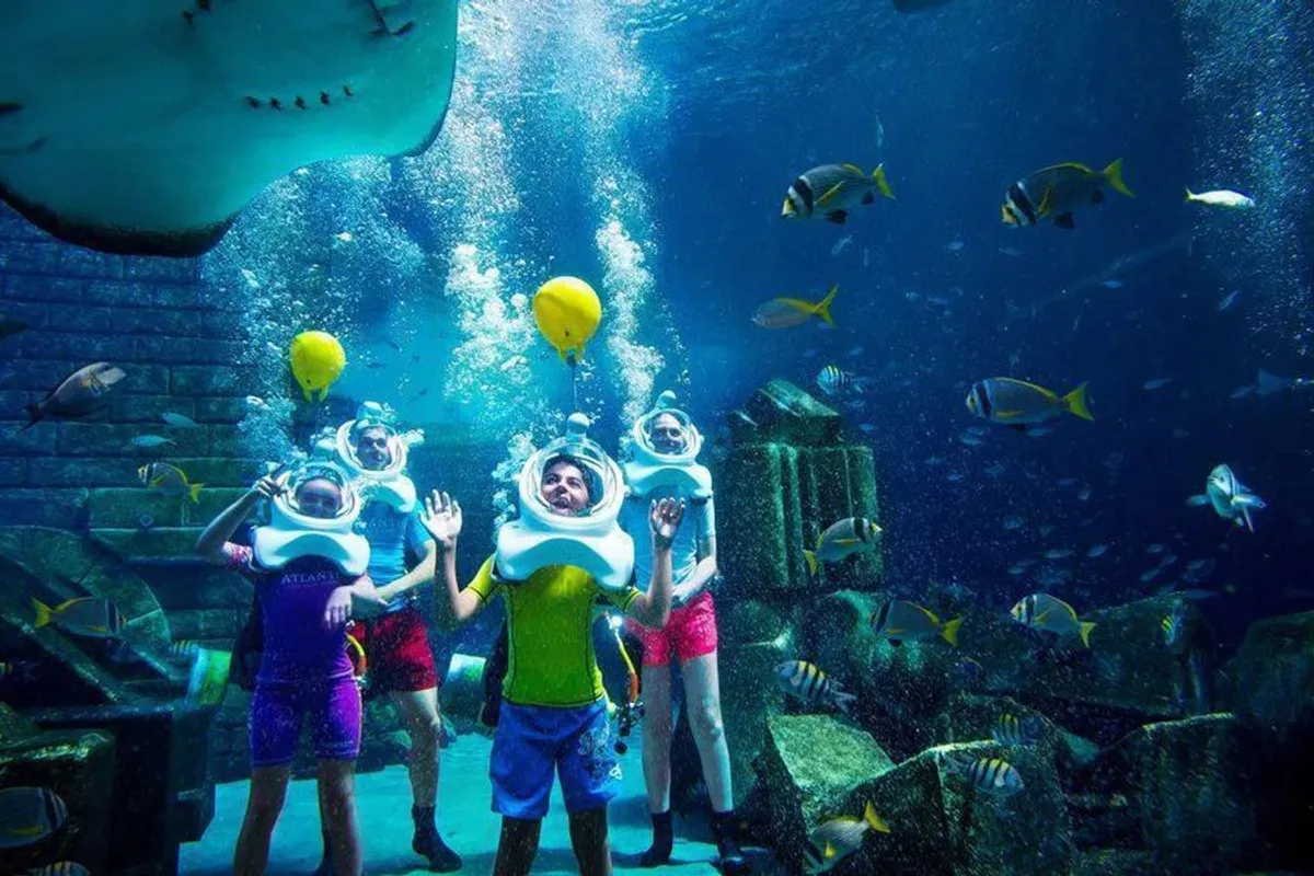 Seaquarium Punta Cana