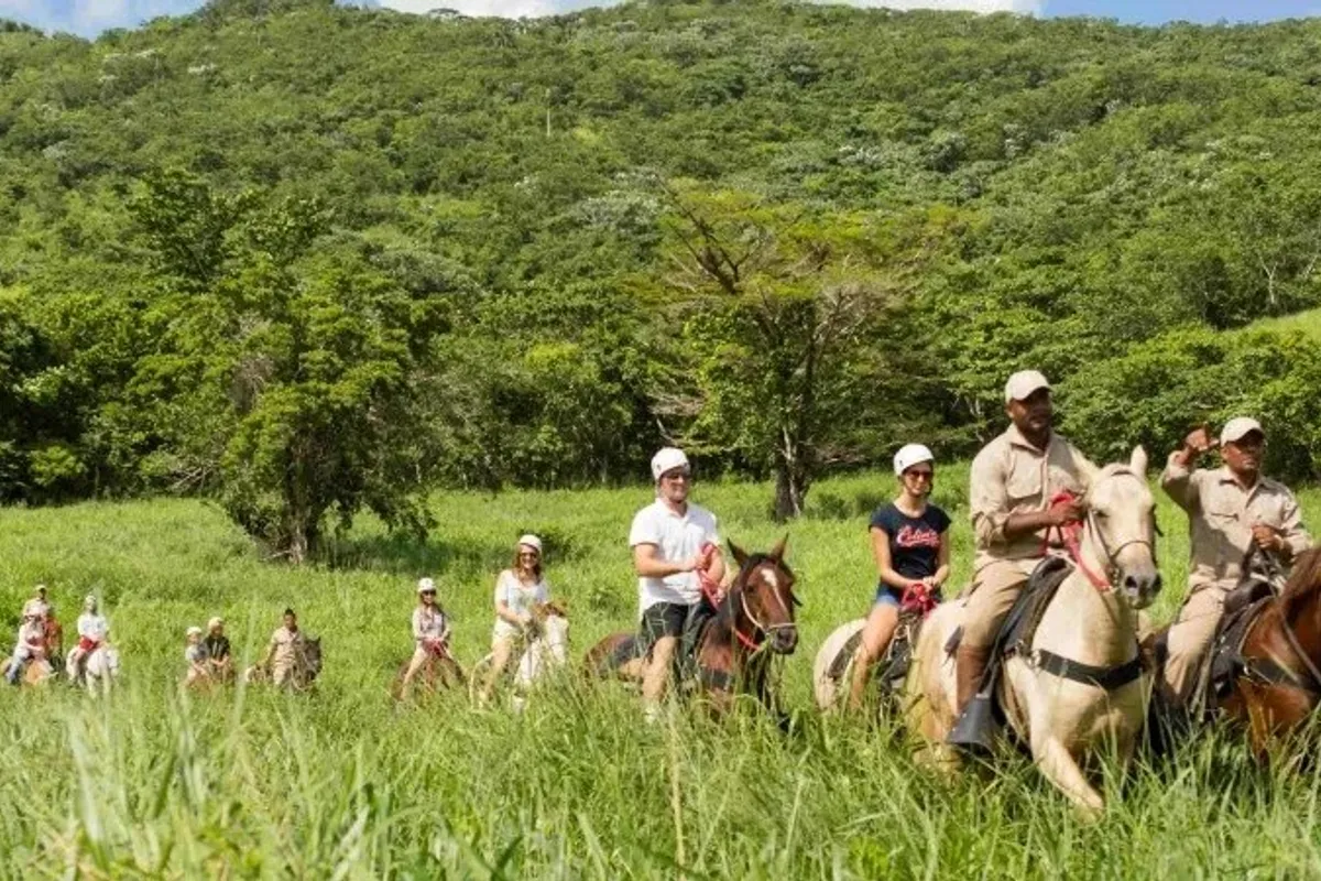 Horseback Riding from Boca Chica and Juan Dolio