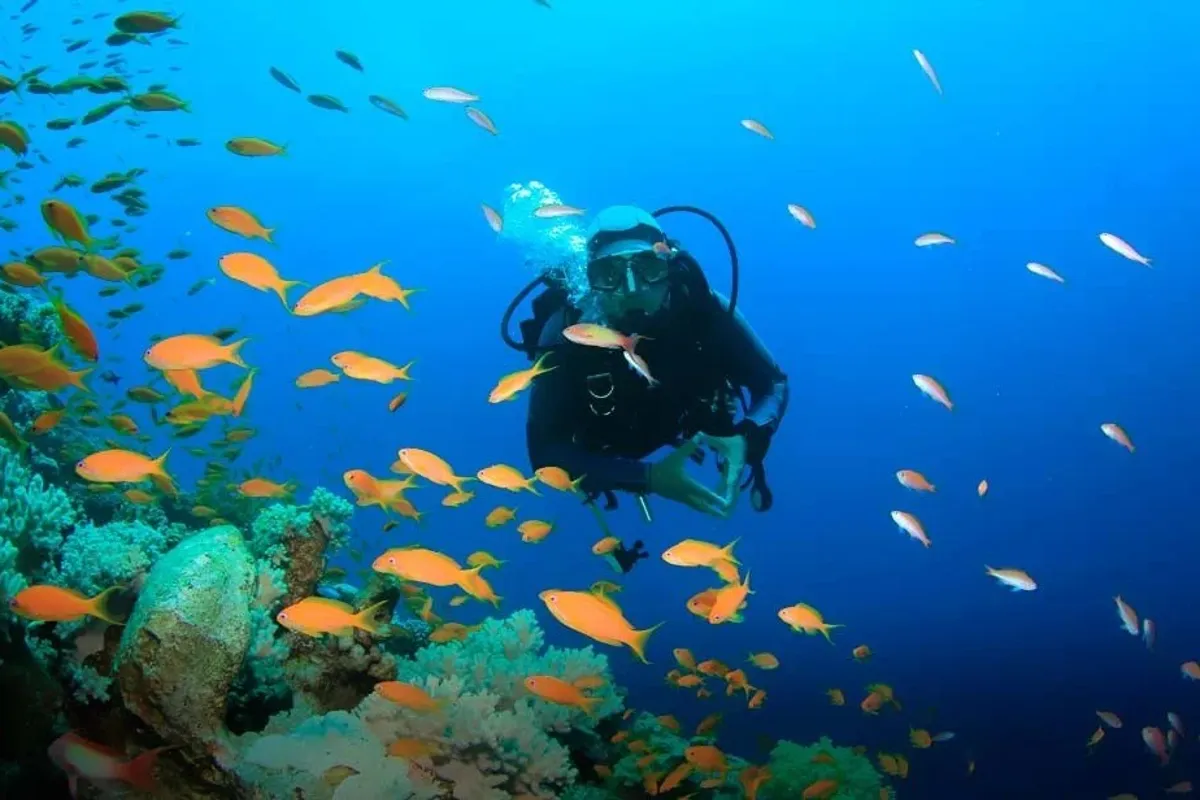 Plongée profonde à La Romana et Bayahibe