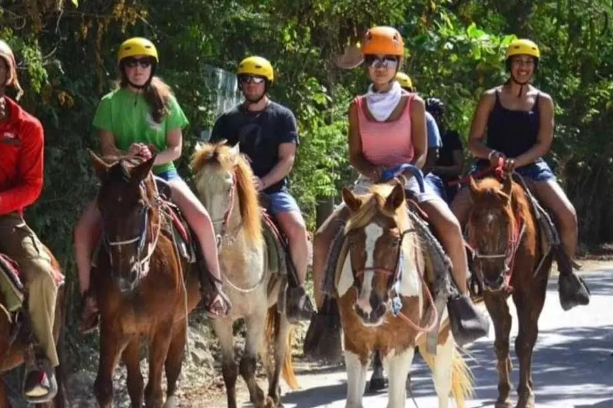 Paseo a caballo en Samaná desde Las Terrenas