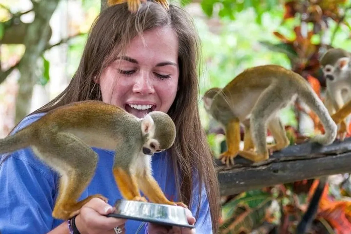 Monkeyland desde Puerto Plata