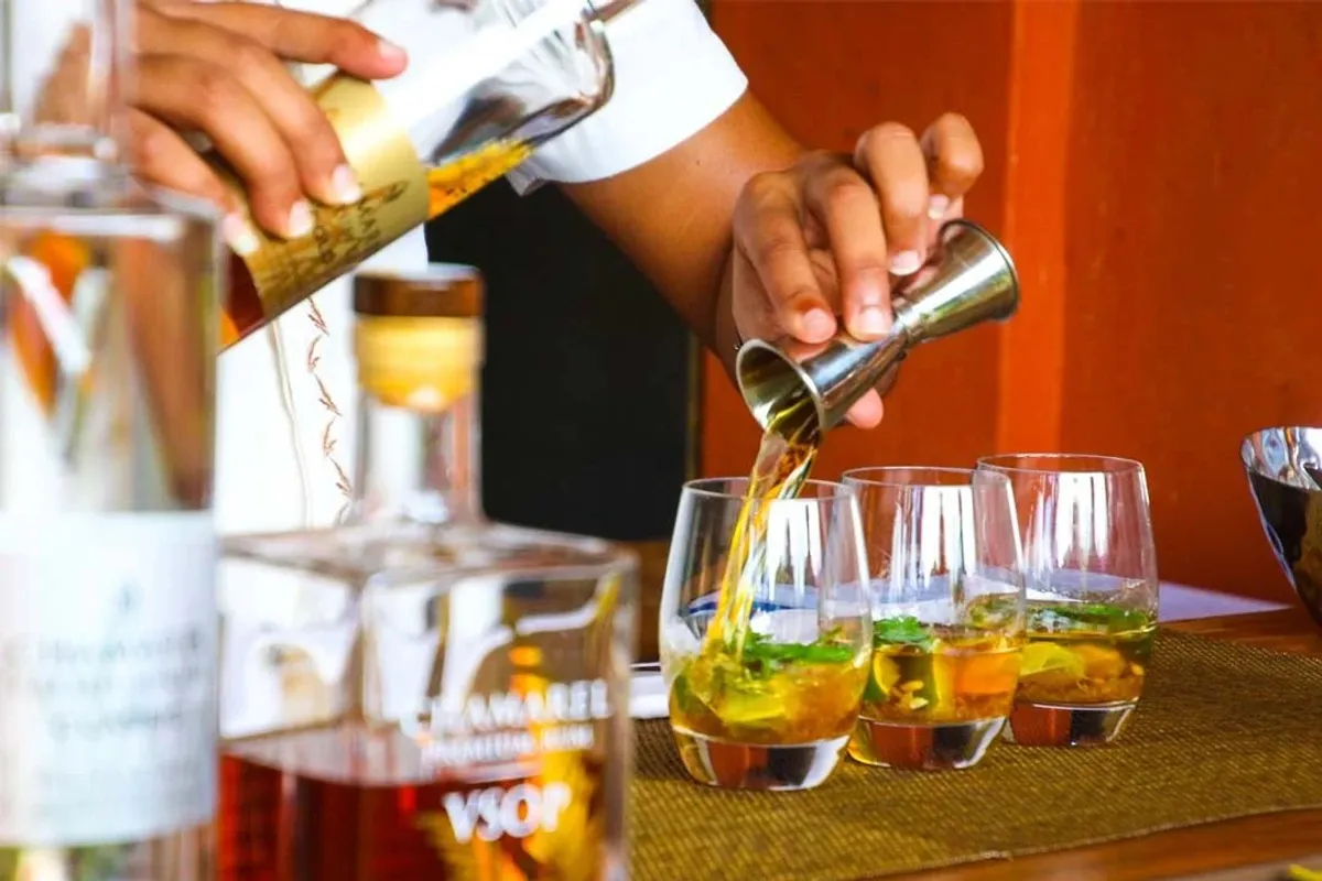 Musée du rhum et distillerie Barceló depuis Saint-Domingue