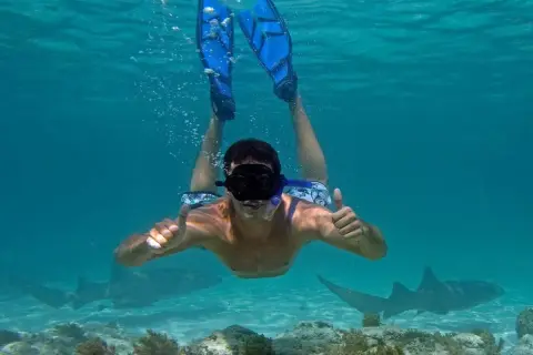 Marinarium Punta Cana : snorkeling et piscine naturelle
