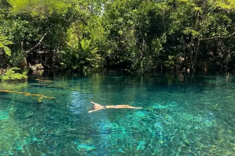 Ojos Indígenas Ecological Reserve