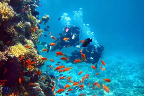 Deep Diving in Punta Cana