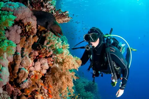 Deep Diving in Punta Cana