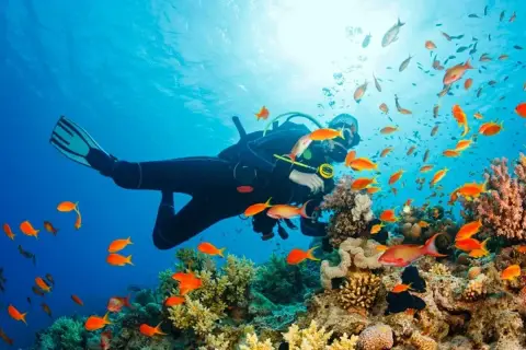 Deep Diving in Punta Cana