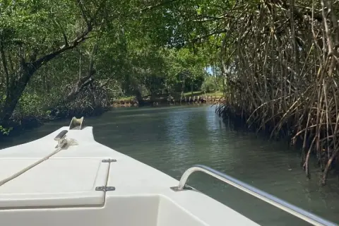 Parque Nacional Los Haitises desde Punta Cana