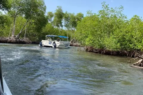 Parque Nacional Los Haitises desde Punta Cana