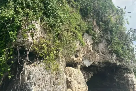 Parque Nacional Los Haitises desde Punta Cana