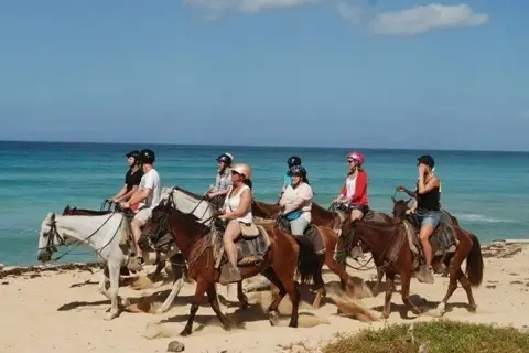 Paseo a caballo en Punta Cana