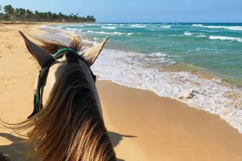 Paseo a caballo en Punta Cana