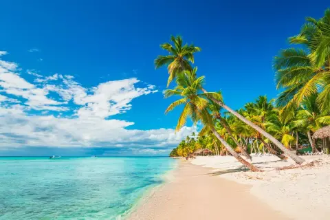 Paseo a caballo en Punta Cana