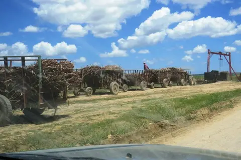 Safari Country en camion depuis Boca Chica et Juan Dolio