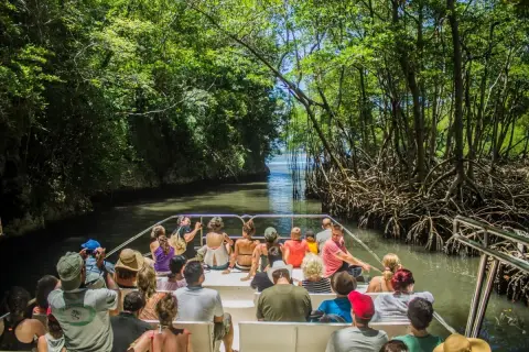 Parque Nacional Los Haitises desde Samaná