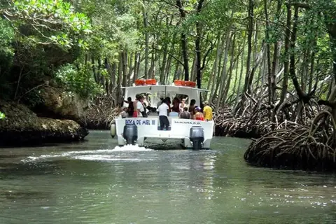 Parque Nacional Los Haitises desde Samaná
