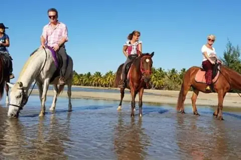 Paseo a caballo en Samaná desde Las Terrenas