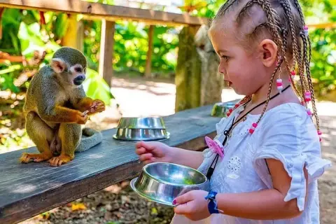 Monkeyland desde Puerto Plata