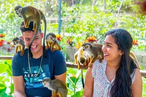 Monkeyland desde Puerto Plata