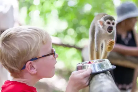 Monkeyland desde Puerto Plata