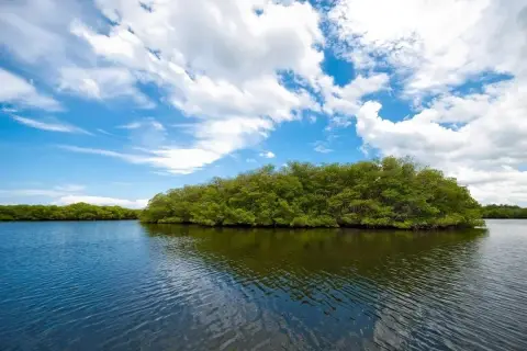 Cayo Arena desde Santo Domingo