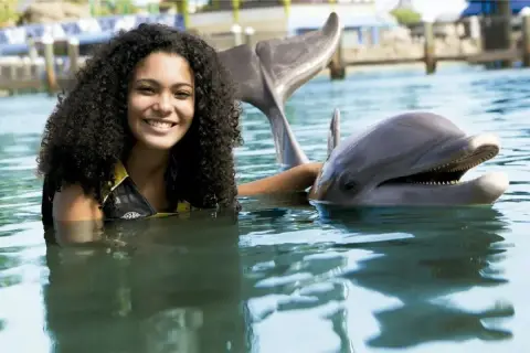 Ocean World desde Santo Domingo
