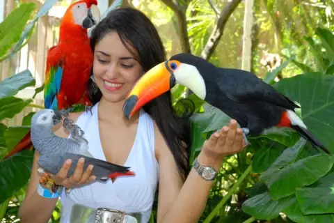 Ocean World desde Santo Domingo